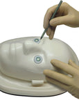 Phake-i Surgical Practice Eyes, 4 eyes/pkg